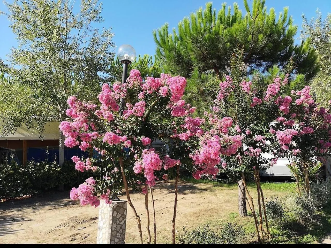 וירג'יו Comfortable Campsite-Chalet G16 Tuscany Near Sea