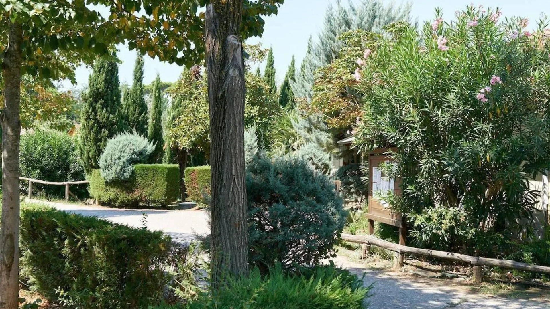 בקתה וירג'יו Comfortable Campsite-Chalet G16 Tuscany Near Sea